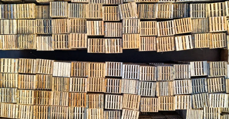 découvrez notre offre de palettes en bois gratuites, idéales pour vos projets de rangement, transport ou bricolage. profitez d'une solution écologique et économique dès maintenant !