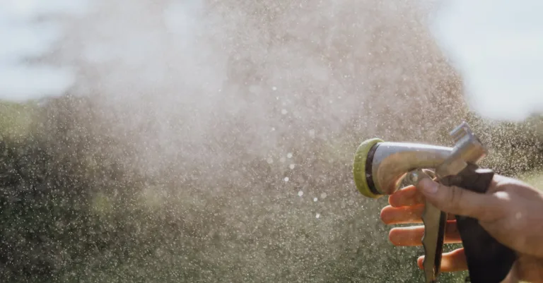 découvrez les meilleures techniques pour arroser votre pelouse efficacement et maintenir un gazon vert et en bonne santé toute l'année.