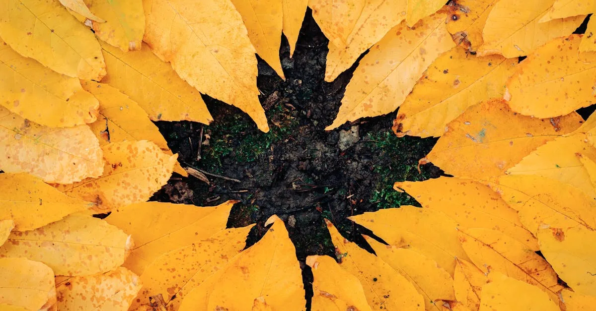 découvrez les causes courantes des feuilles jaunes sur vos plantes et apprenez comment y remédier pour préserver leur santé et leur beauté.