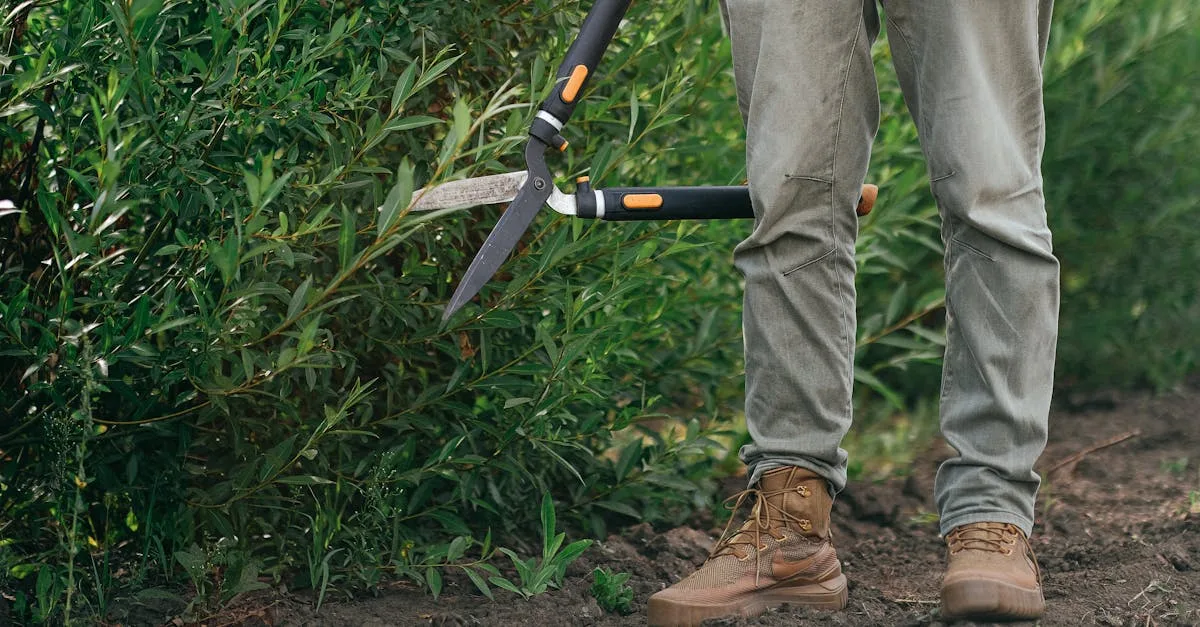 découvrez les astuces et conseils d'un jardinier expert pour entretenir votre jardin, choisir les bonnes plantes et réussir vos cultures toute l'année.