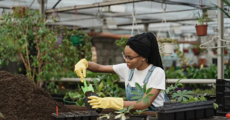 découvrez les services professionnels d'un jardinier pour entretenir et embellir votre jardin toute l'année.