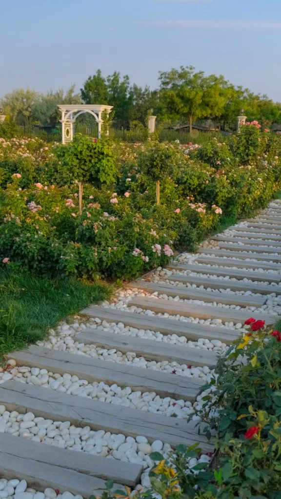 aménager un jardin adapté au climat de la vallée du Rhône