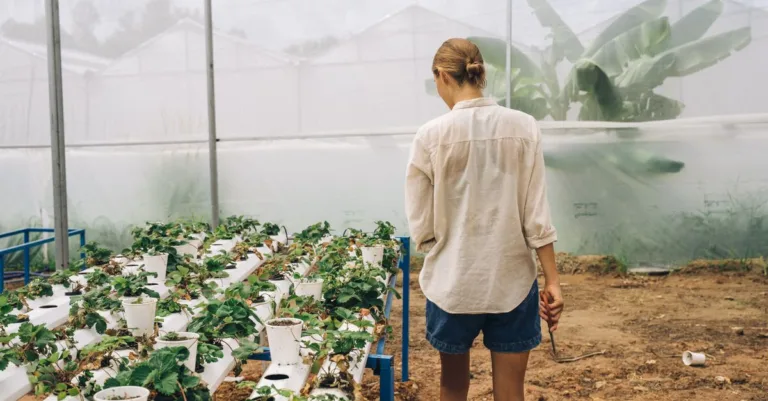 découvrez l'aquaponie, un système écologique combinant culture de plantes et élevage de poissons pour un jardinage durable et innovant.