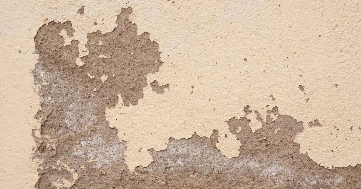 découvrez comment résoudre le problème des plâtres qui cloquent grâce à nos conseils et solutions efficaces pour un mur lisse et durable.