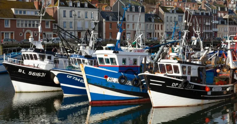 découvrez la cuisine normande, riche en saveurs avec ses produits locaux comme le camembert, le cidre et les fruits de mer, pour une expérience culinaire authentique en normandie.