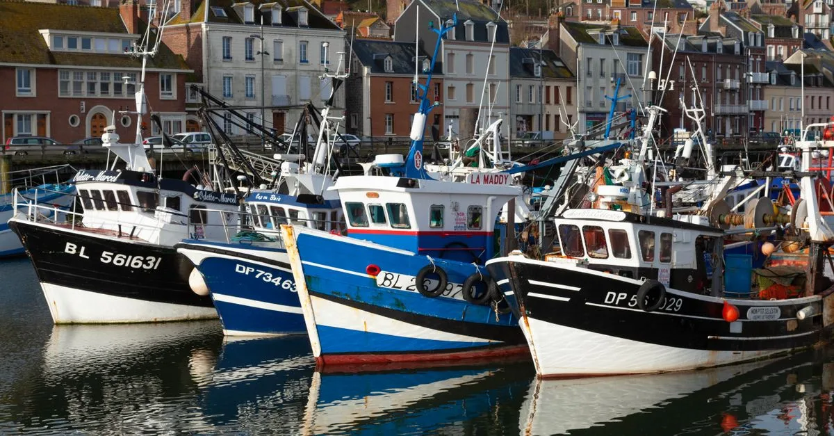 découvrez la cuisine normande, riche en saveurs avec ses produits locaux comme le camembert, le cidre et les fruits de mer, pour une expérience culinaire authentique en normandie.