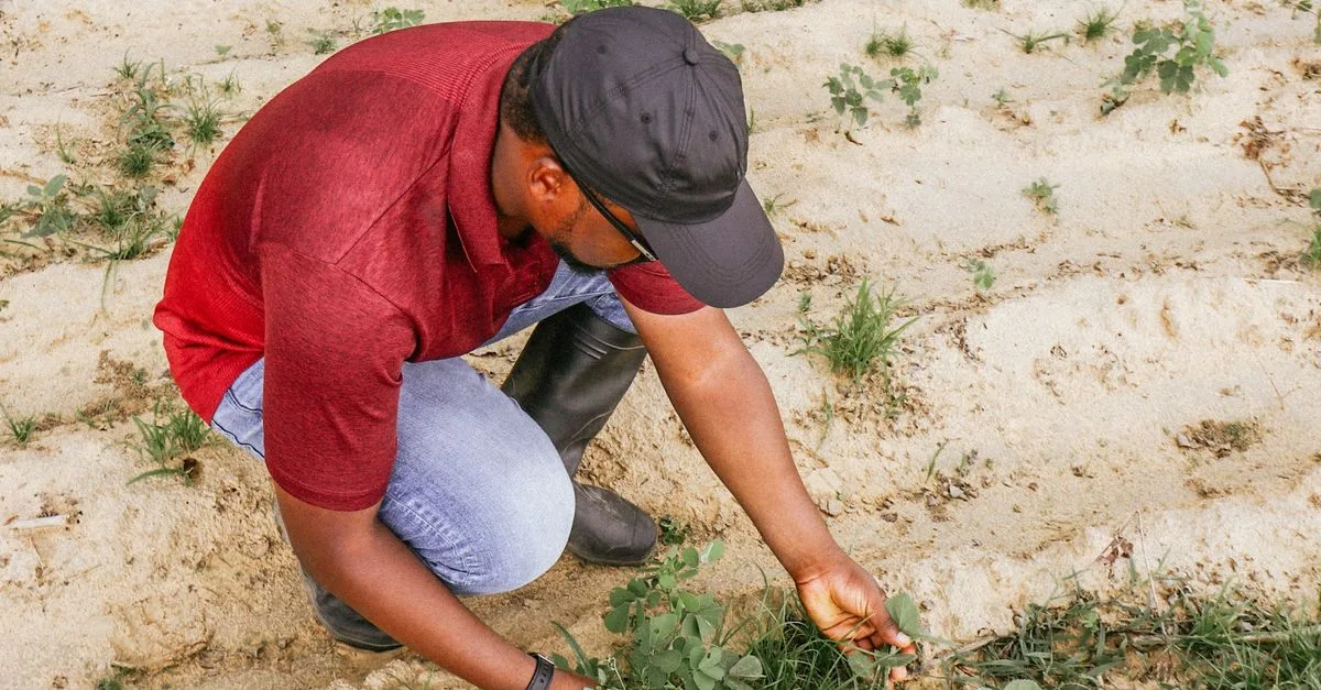 découvrez les pratiques d'agriculture durable qui préservent l'environnement, améliorent la qualité des sols et favorisent une production alimentaire responsable pour les générations futures.