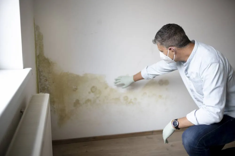 traiter humidité maison