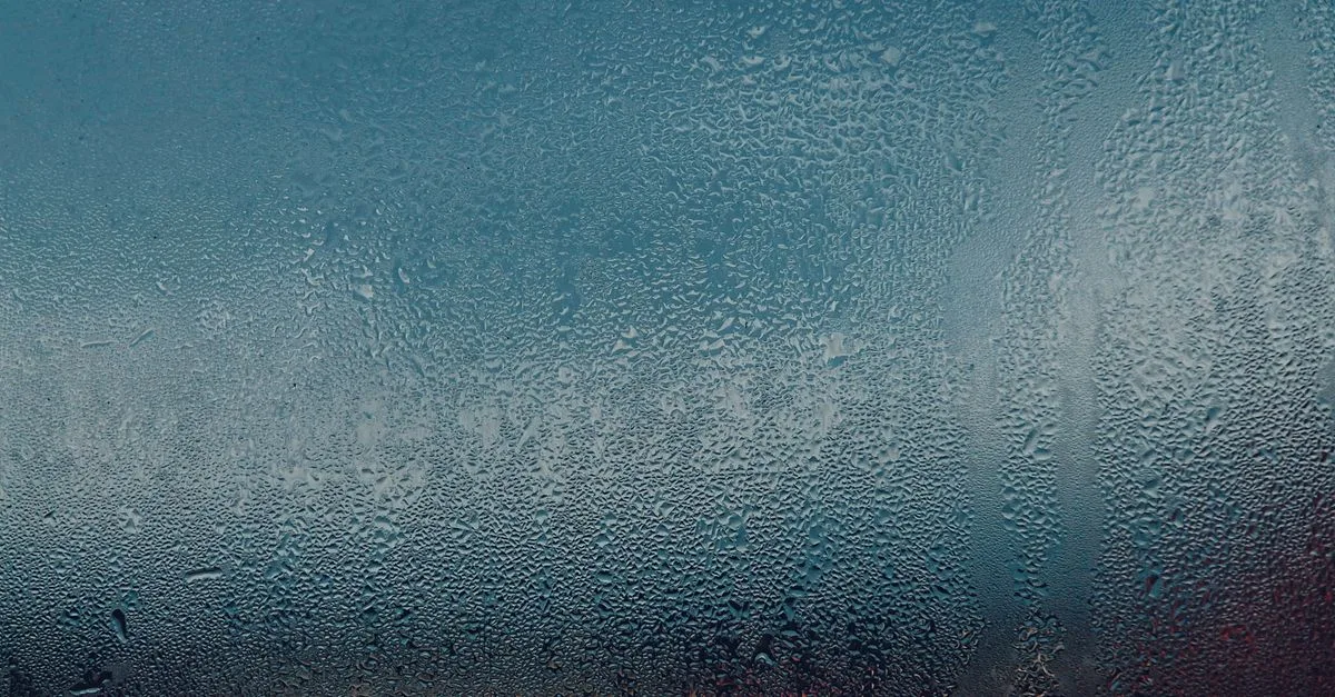découvrez tout ce qu'il faut savoir sur l'humidité : définition, causes, effets sur la santé et conseils pour contrôler le taux d'humidité dans votre environnement.