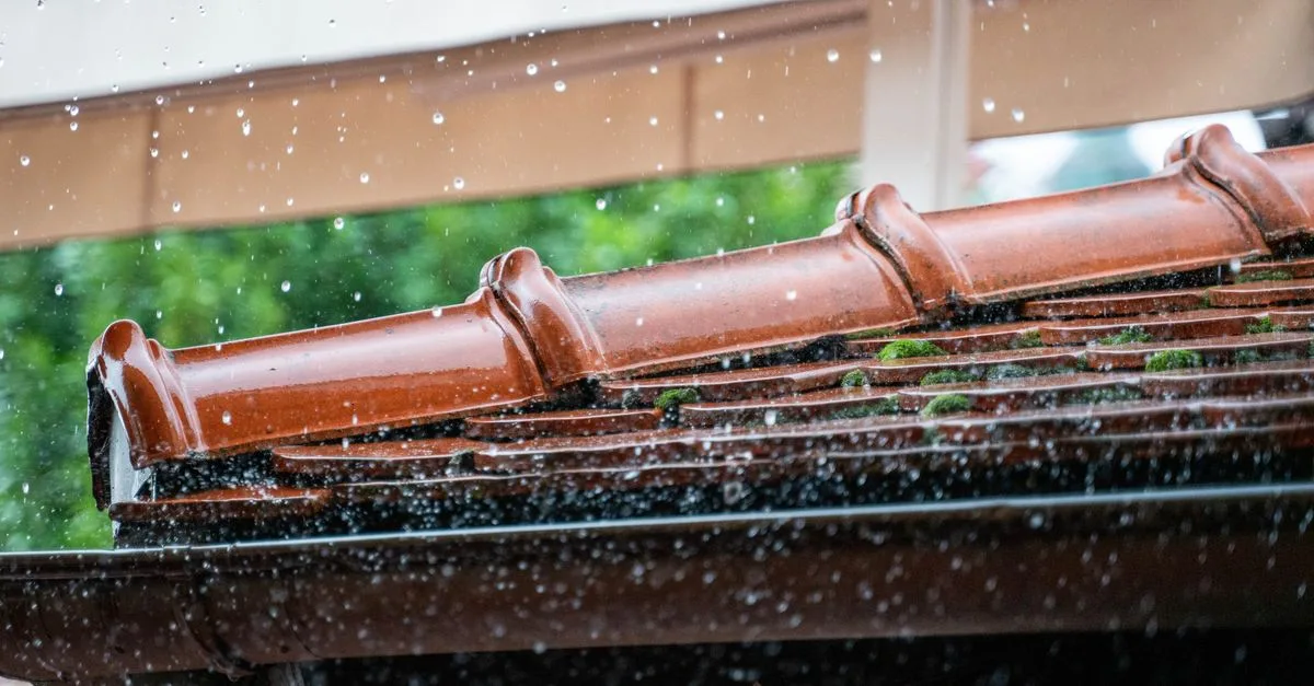 découvrez nos gouttières en béton durables et robustes, idéales pour une excellente évacuation des eaux pluviales et une protection optimale de votre toiture.