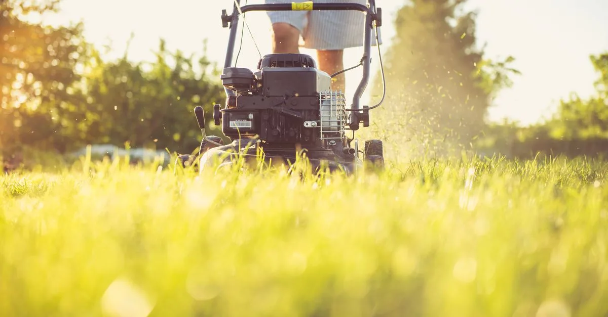 obtenez un devis personnalisé pour l'entretien de votre jardin. service professionnel, fiable et adapté à vos besoins.