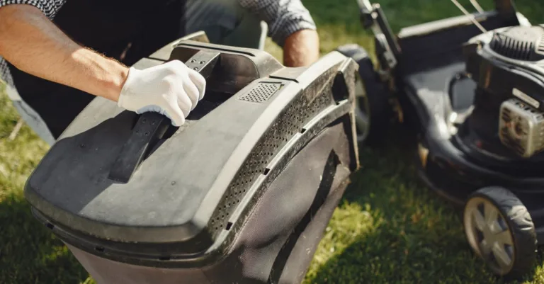 obtenez un devis personnalisé pour l'entretien de votre jardin. services professionnels pour une maintenance efficace et un espace vert impeccable.