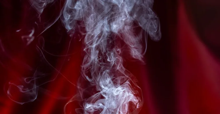 découvrez la différence entre pare-vapeur et frein-vapeur pour l’isolation des combles, et choisissez la solution adaptée à votre climat et à votre toiture.