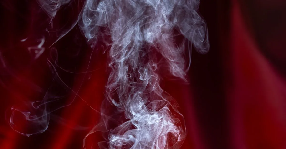 découvrez la différence entre pare-vapeur et frein-vapeur pour l’isolation des combles, et choisissez la solution adaptée à votre climat et à votre toiture.
