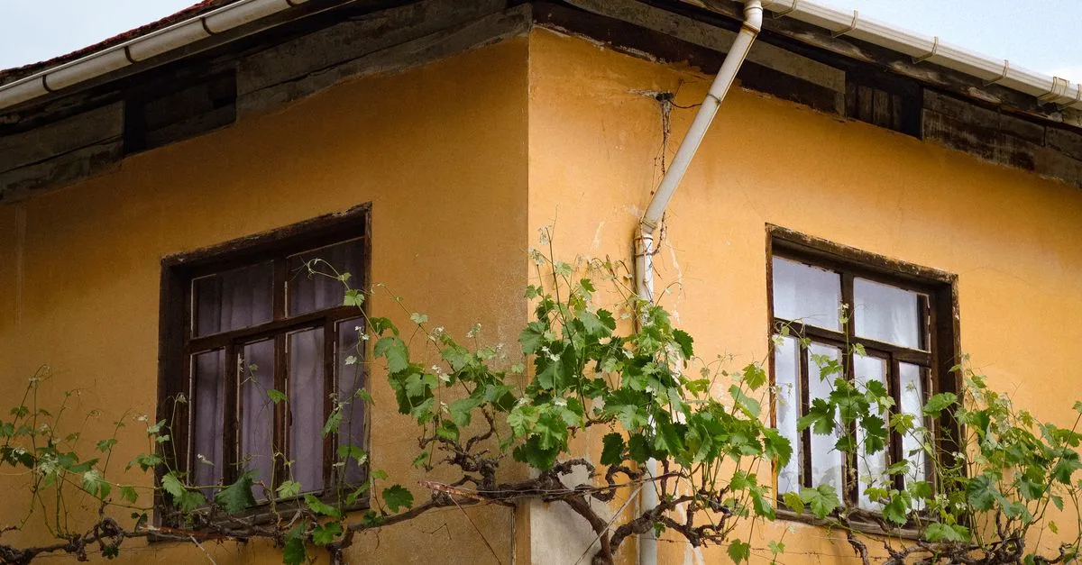 découvrez comment réparer une fuite de gouttière en zinc sans soudure, avec des solutions simples et efficaces pour éviter les infiltrations.